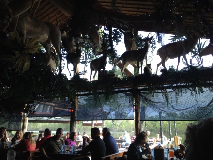 View from our table of the St. Johns River close to where it flows into the Atlantic Ocean.